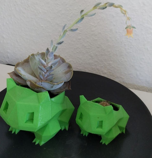 Bulbebizarre Pot de fleur