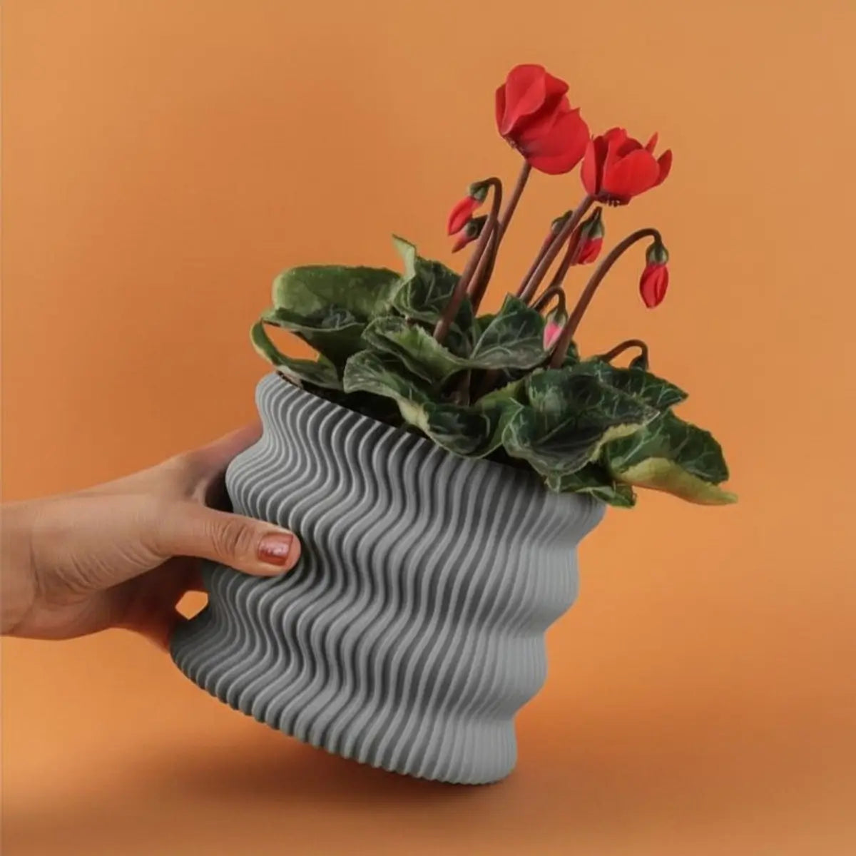 Pot de fleurs Weego (by Lunfardo )