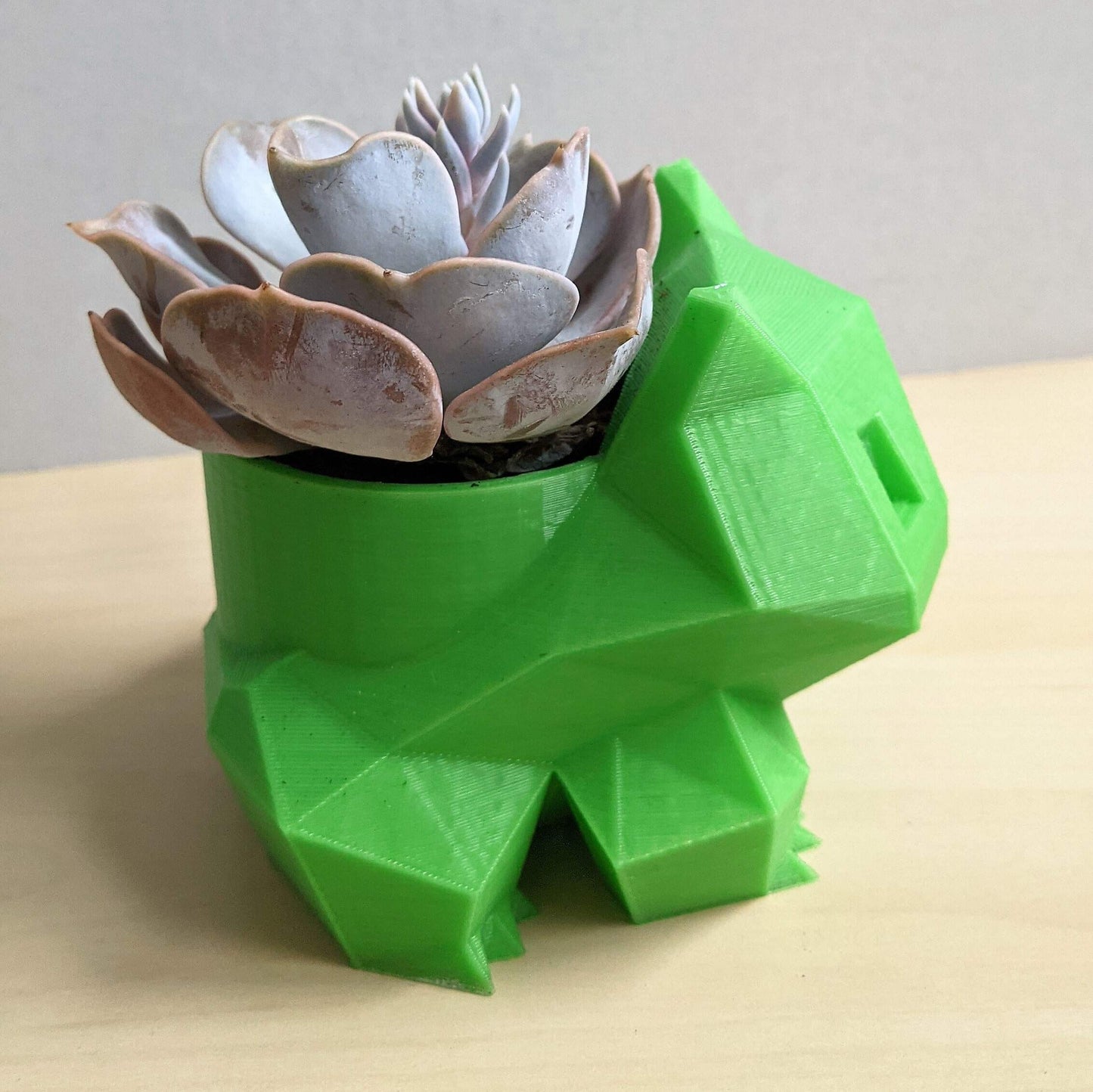 Bulbebizarre Pot de fleur