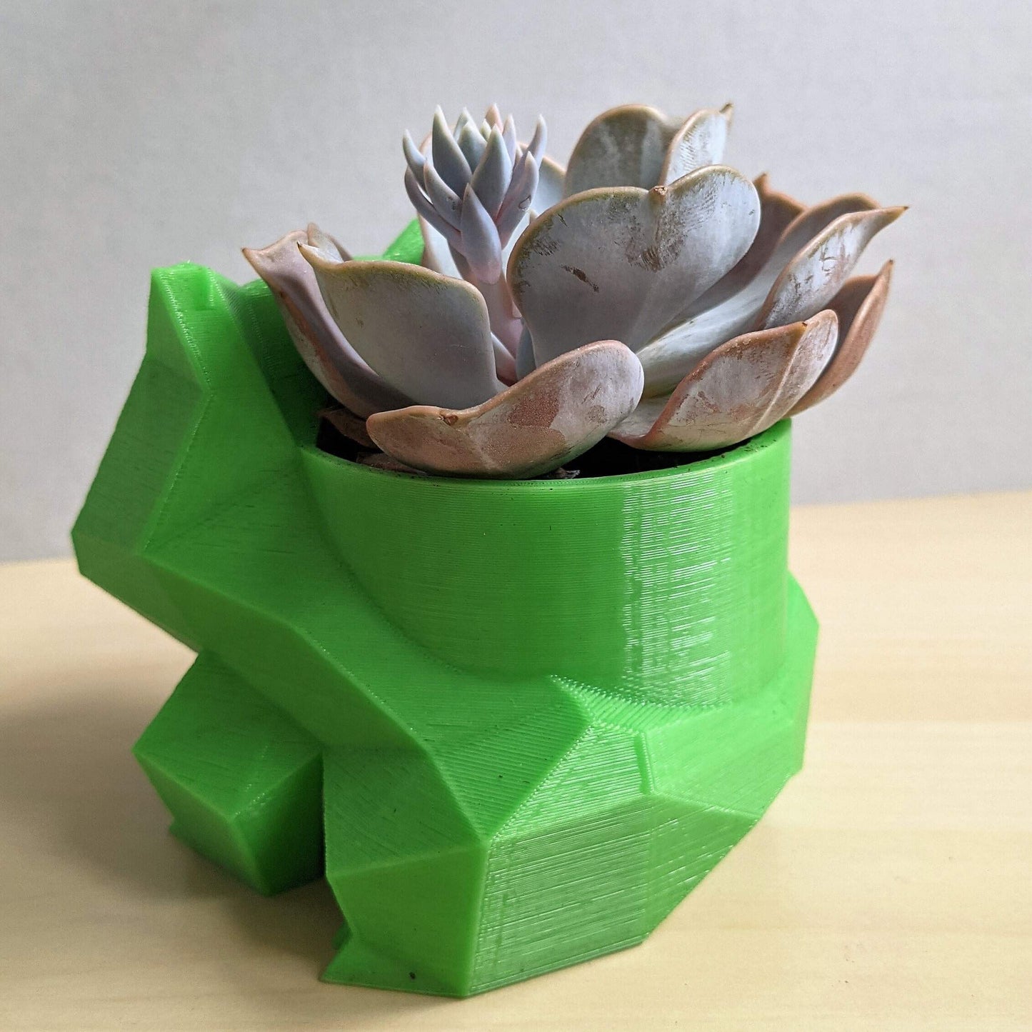 Bulbebizarre Pot de fleur