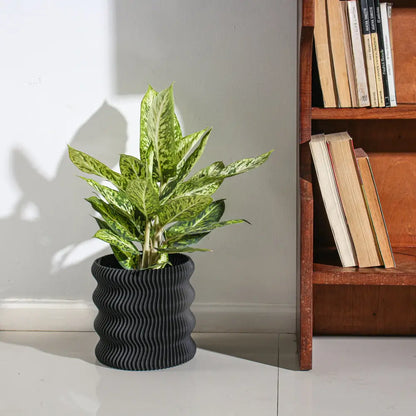 Pot de fleurs Weego (by Lunfardo )