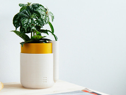 Pot auto-arrosant "Petit" (par bonstic)