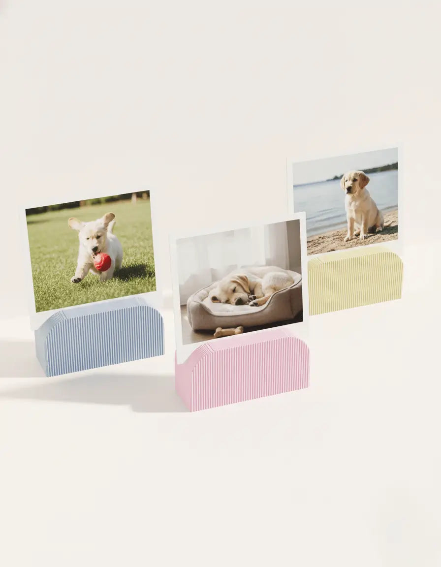 Lot de 3 - Porte - photo Polaroïd (By Three Happy D ) - Bonstic