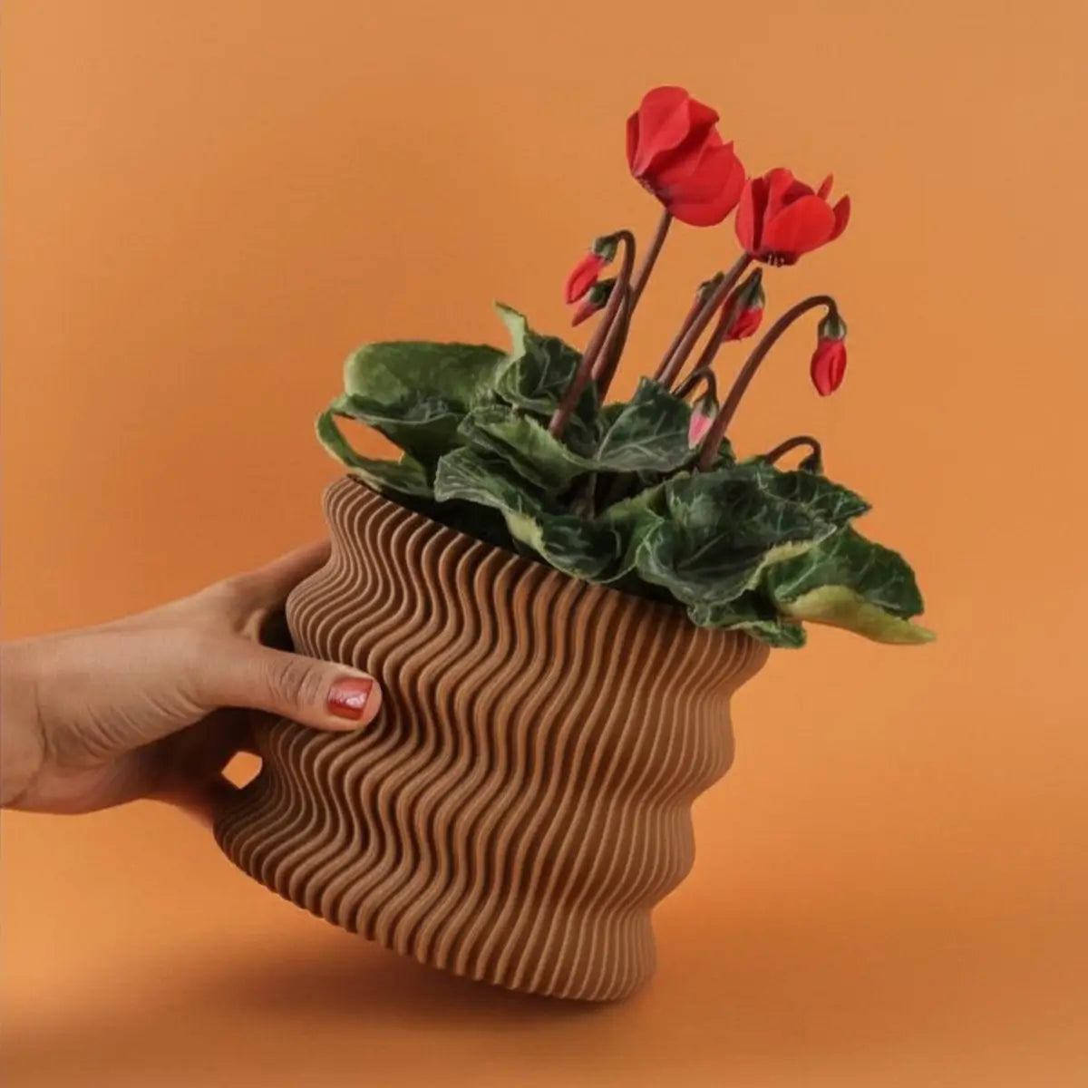 Pot de fleurs Weego (by Lunfardo )