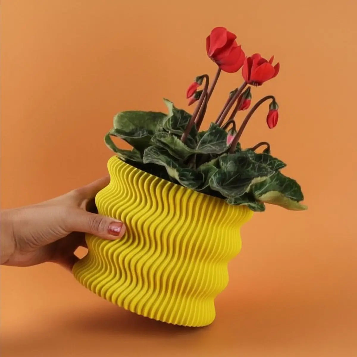 Pot de fleurs Weego (by Lunfardo )