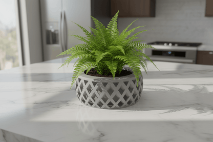 Pot a Plante Crisoxe