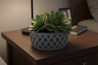 Pot a Plante Crisoxe